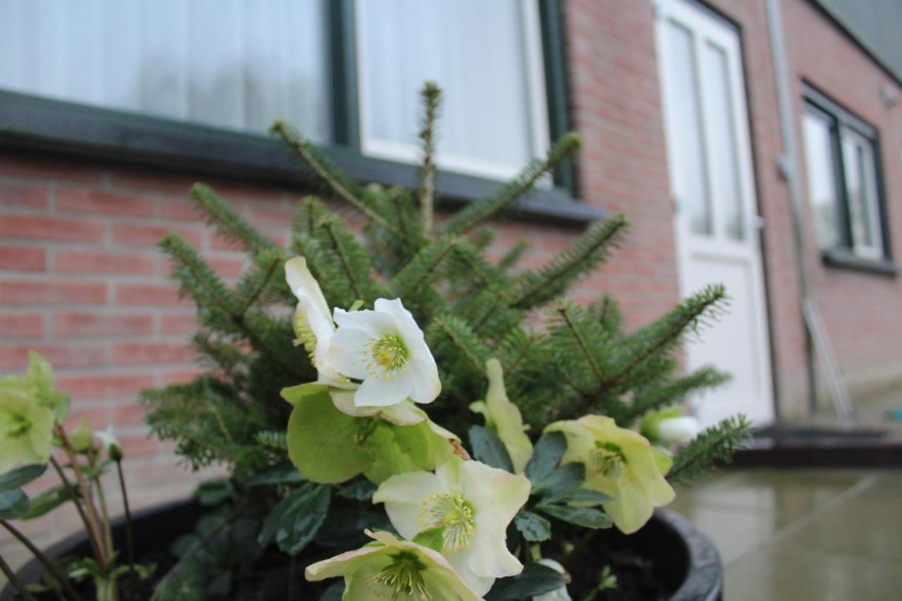 Ferienwohnung Veldhuis Woubrugge Exterior foto